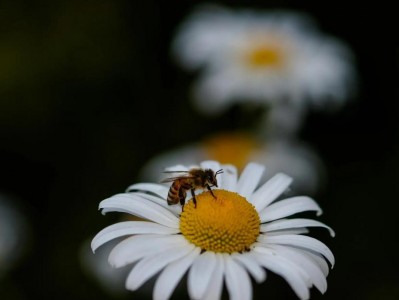 景深核心三要素